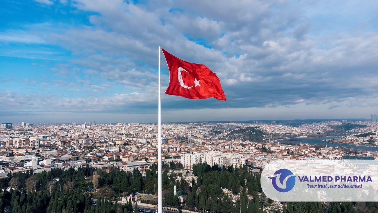 Valmed Pharma Küresel Pazarlar için Güvenilir Türk İlaç Toptancınız